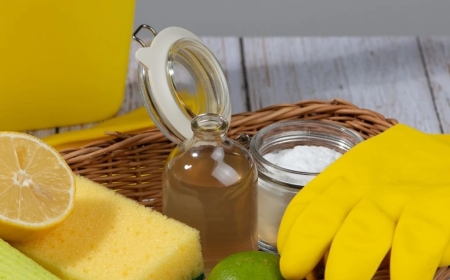 Evde Yapılabilecek Doğal Temizlik Ürünleri