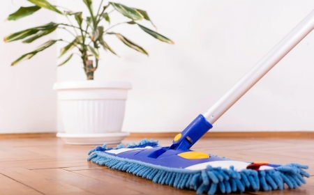 Doğal Yer Temizleyici: Evde Sağlıklı ve Etkili Temizlik İçin Doğal Çözümler