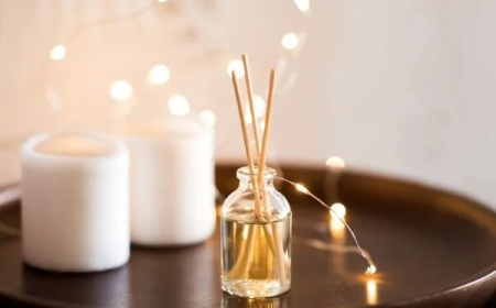 Doğal Oda Kokusu: Evde Ferah ve Sağlıklı Bir Hava Yaratmanın Yolları