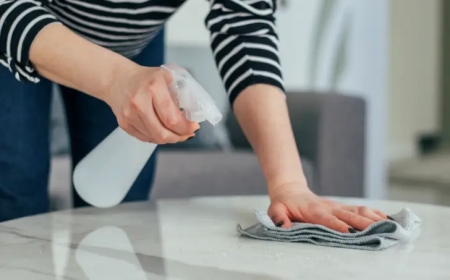 Evde Doğal Hava Temizleyici Sprey Yapımı