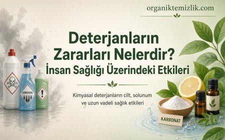 Deterjanların Zararları Nelerdir? İnsan Sağlığı Üzerindeki Etkileri